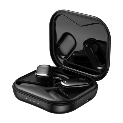 Valante EarBuds