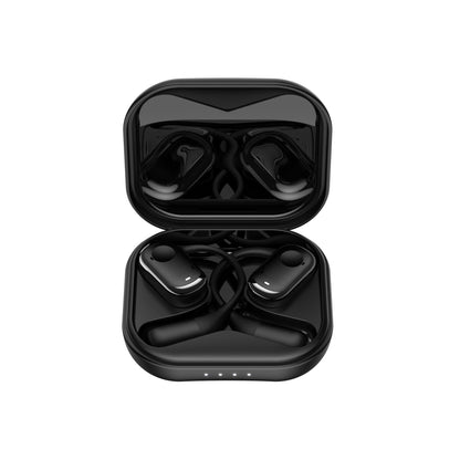 Valante EarBuds